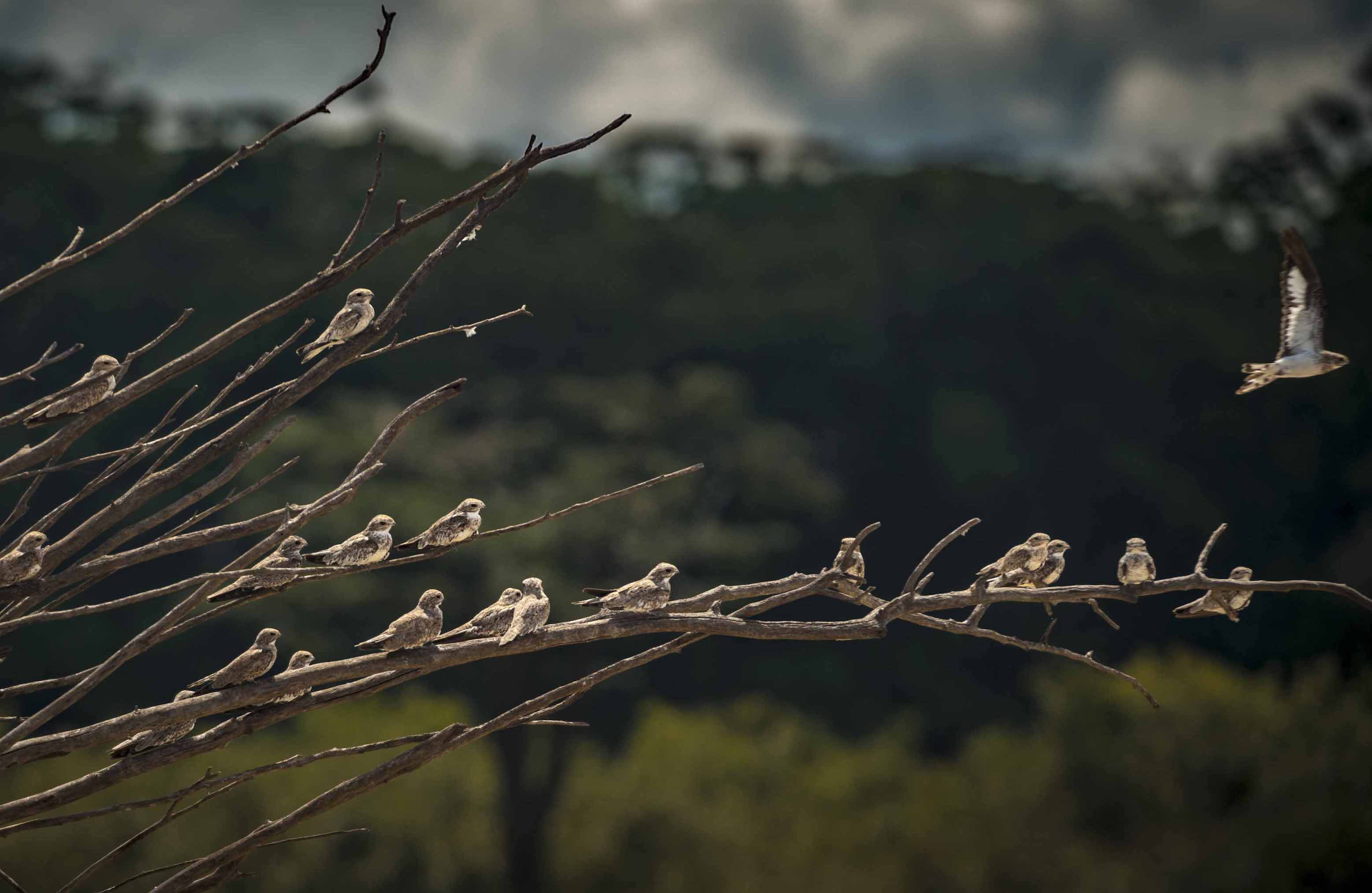 Development of a Masterplan