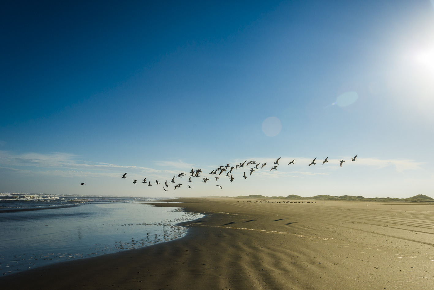 Validation of Commercialization